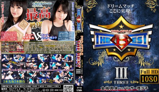 【年末特価最大20%OFF】【12/22(金)23:59まで】【HD】PRO-STYLE THE BEST III