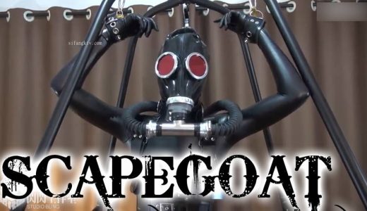 生贄：腕のいい秘密組織の隊員を改造人間に