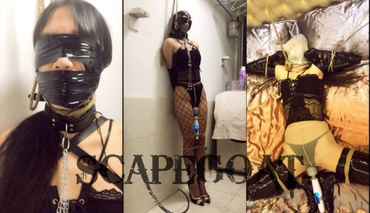 【HD】生贄：私的記録・スタイル抜群のセフレを四肢固定