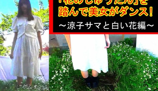 「花のじゅうたん」を踏んで美女がダンス!〜涼子様と白い花編〜